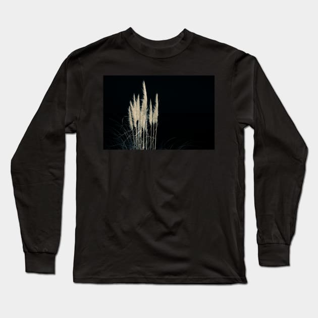 Pampas flowers and leaves isolated on black. Long Sleeve T-Shirt by brians101